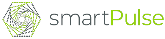 SmartPulse User Hub